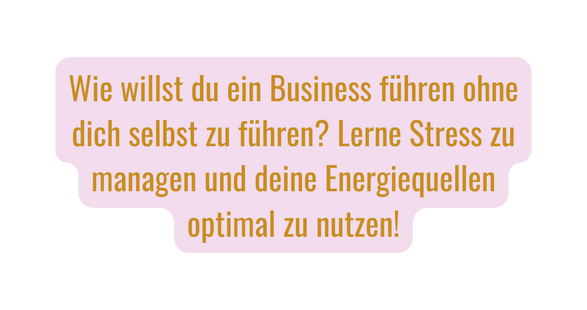 Wie willst du ein Business führen ohne dich selbst zu führen Lerne Stress zu managen und deine Energiequellen optimal zu nutzen